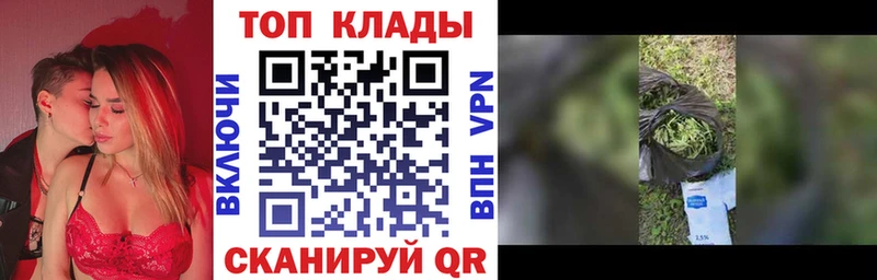МЕФ Котельнич