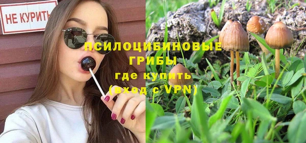 хмурый Нея